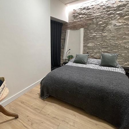 Apartamento Colgante Al Rio Con Vistas Al Puente Camprodon Buitenkant foto