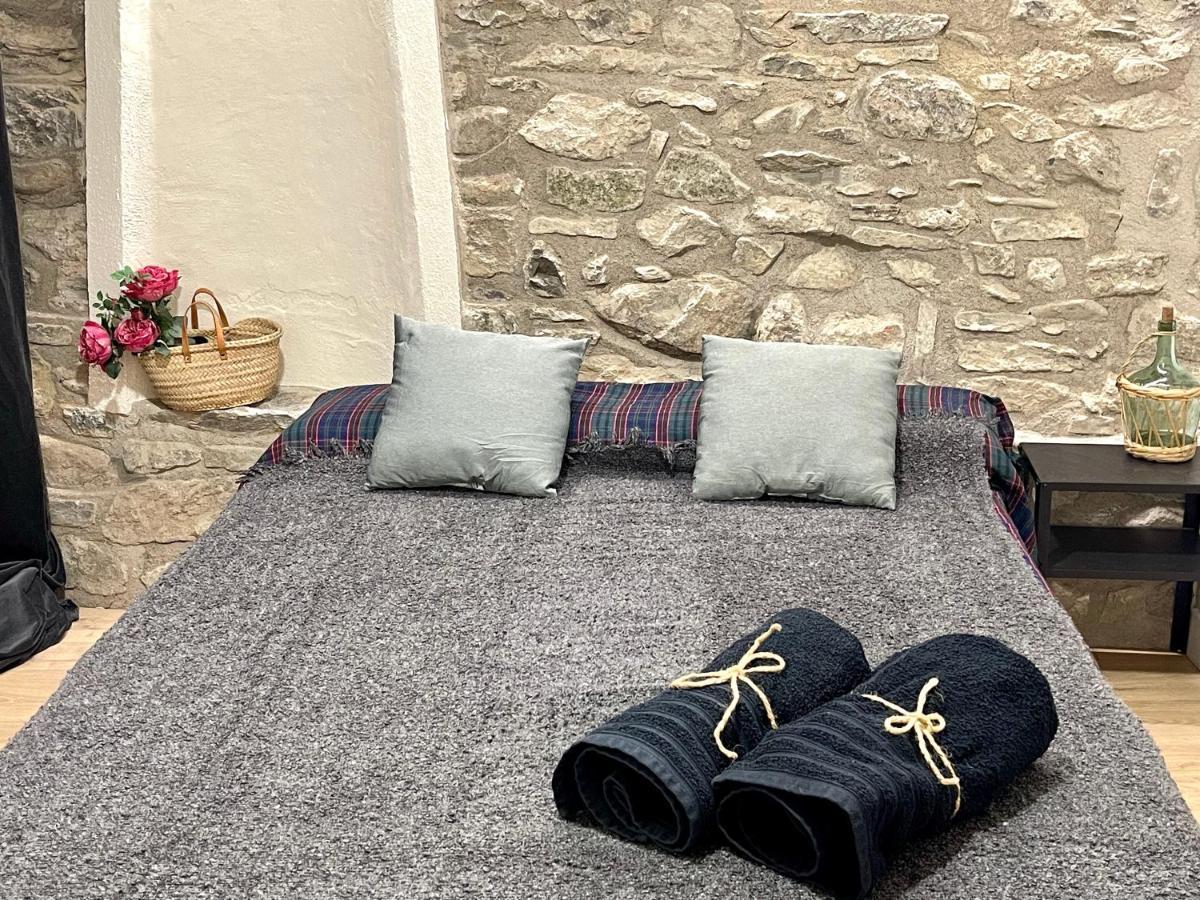 Apartamento Colgante Al Rio Con Vistas Al Puente Camprodon Buitenkant foto